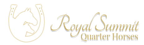 Royal Summit Quarter Horses, Logo